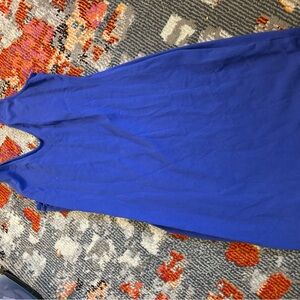 Wild Fable Royal Blue Dress